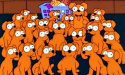 Two Dozen and One Greyhounds.jpg